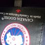canada goose jacket 12-13 years old Image 4