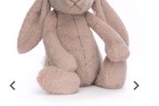 Looking for Jellycat brand genuine big or huge Rosa