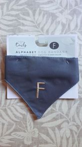 dog bandana