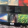 Swervedriver - Raise (First Press with Limited 7") Image 10