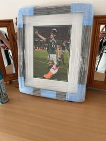 Irish rugby picture