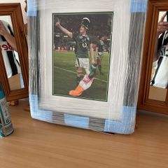 Irish rugby picture