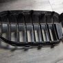 BMW 3 G20 Original grill Image 4