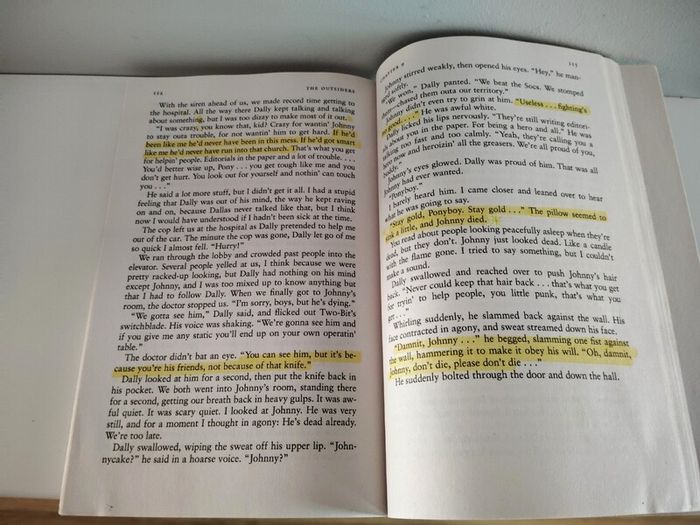 The Outsiders - S.E. Hinton