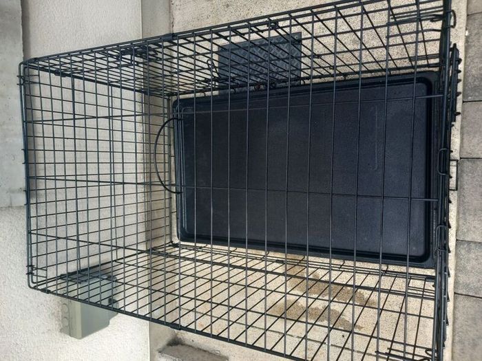 large dog travel crate