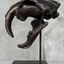 Sabre-Tooth Tiger Skull  - Bronze, Metal Stand, Signed Image 4