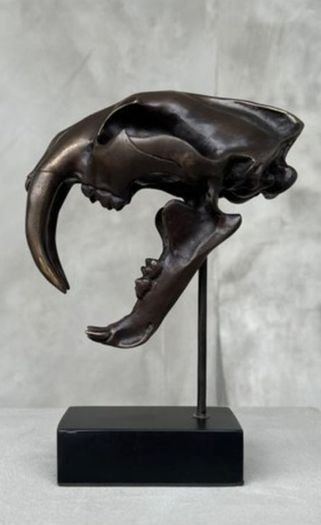 Sabre-Tooth Tiger Skull  - Bronze, Metal Stand, Signed