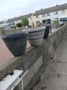 large plant pots
