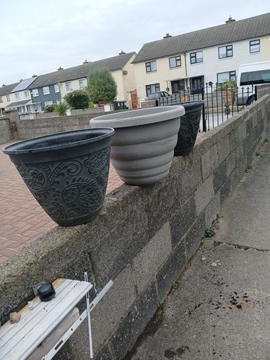 large plant pots