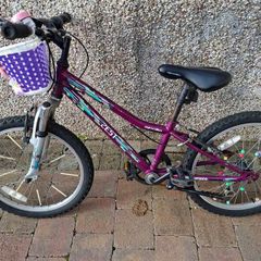 Girls 20 inch bike