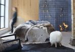 Real Cow Hide Rug Black 150x170 cm