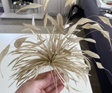Ladies oyster embellished fascinator