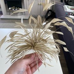 Ladies oyster embellished fascinator