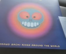 Super furry animals (brawd bach) rings around the world yellow vinyl