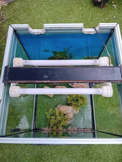 Fish Tank