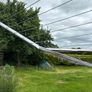rotary clothes line Image 3