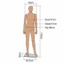 2 x Home Business Female Mannequins -FREE Delivery Image 5