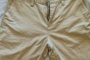 dc shoe shorts