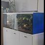 Fish tank and stand Image 3