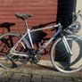 Giant Liv Avail 3 Womens Roadbike - purple & silv Image 10