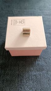 Pandora Charm