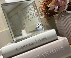 mirror tissue box