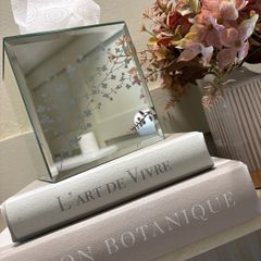 mirror tissue box
