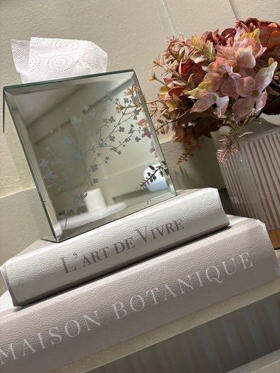mirror tissue box