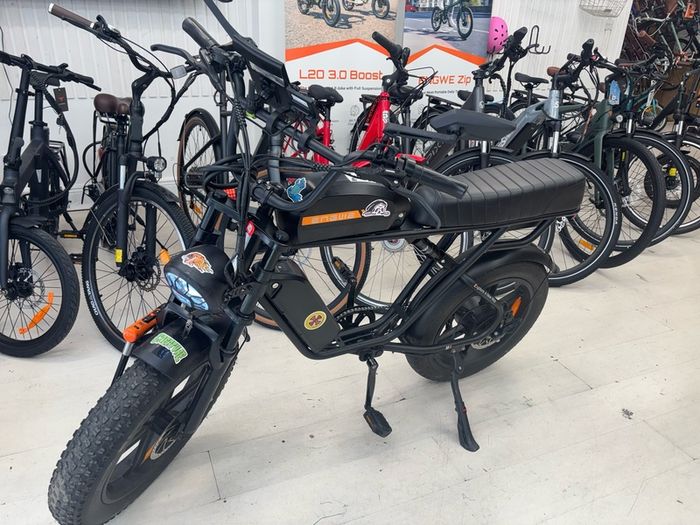 Electric bike