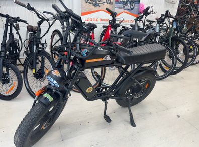 Electric bike
