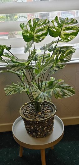 Artificial monstera