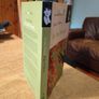 Edna O Brien, in the Forest. Paperback book. Image 3