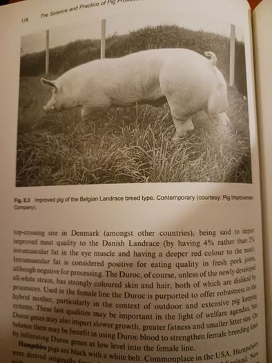 The Science & Practice of Pig Production/ Colin T. Whittmore/ 1998