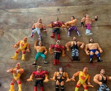wwf wwe Hasbro