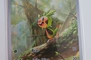 Chespin