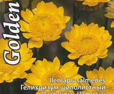 (S) Strawflower Everlasting Yellow Golden Sun seeds 0.1g (415120)