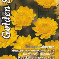 (S) Strawflower Everlasting Yellow Golden Sun seeds 0.1g (415120)