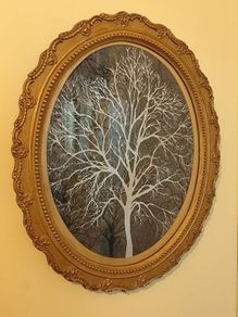 Vintage Ornate Gilt Rococo Style Plaster Chalk Wall Frame