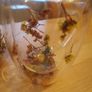 Mugs Image 4