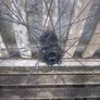 Dt Swiss 29er E BIike Wheelset Image 7