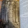The Forests Of Ireland. History,distribution And Silviculture. Edited By The Royal Society Of Irish Foresters By Niall O'connor. First Edition Paperback In Good Condition   See Photos For Same. Image 8