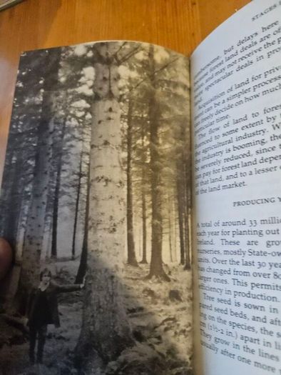 The Forests Of Ireland. History,distribution And Silviculture. Edited By The Royal Society Of Irish Foresters By Niall O'connor. First Edition Paperback In Good Condition   See Photos For Same.
