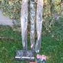 Complete Fishing Kit Pike/Carp/Tench/Bream Image 2