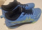 Indoor/badminton shoes