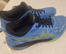 Indoor/badminton shoes