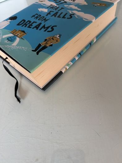 book fiction The dust that falls from dreams