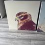 large canvas hawks 32+32 inch Image 6