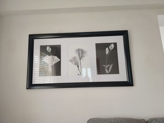 Two Black and White decorative wall picture