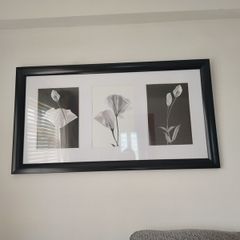 Two Black and White decorative wall picture
