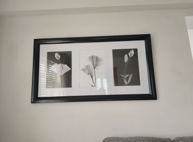 Two Black and White decorative wall picture
